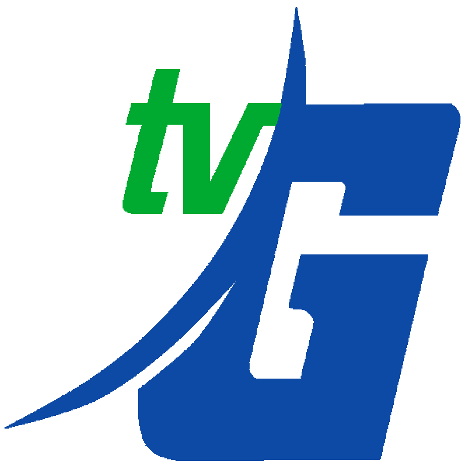 Gtv Indonesia Other Logopedia Fandom