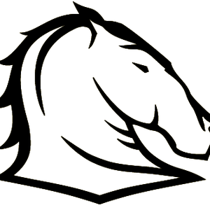 Brisbane Broncos Other Logopedia Fandom