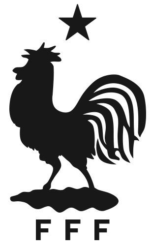 Image - France national football team logo (EURO 2016 ...