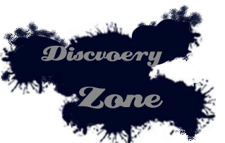 Logo Dz Discovery Zone