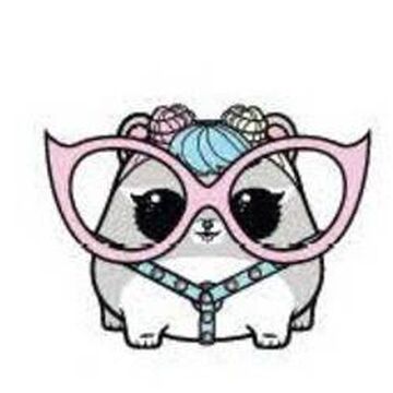 biggie pet bon bon