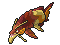 Arapaigo