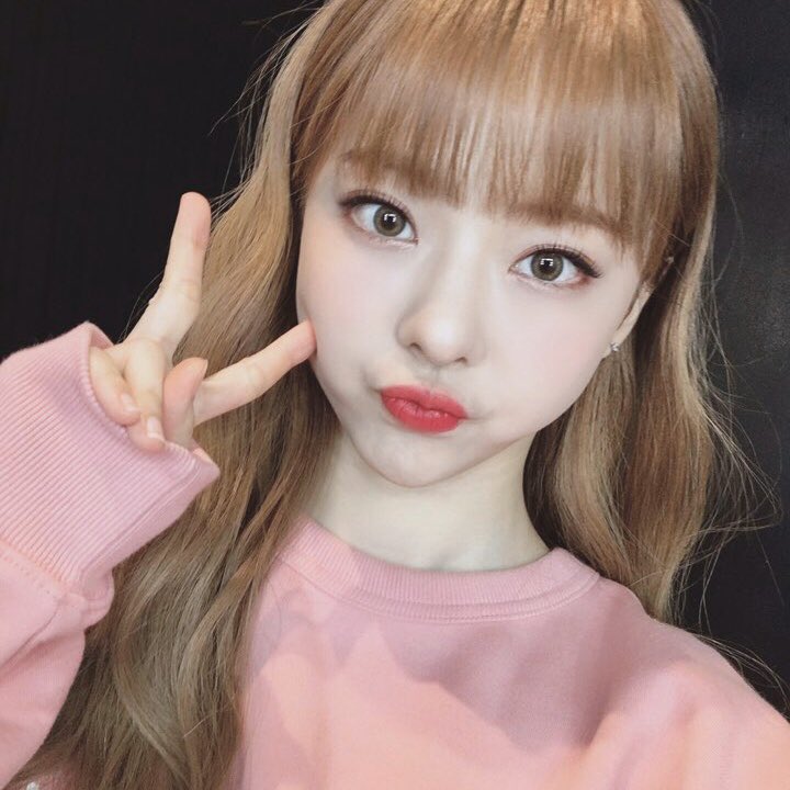 ViVi/Facts | LOOΠΔ Wiki | Fandom