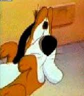 Byron the basset