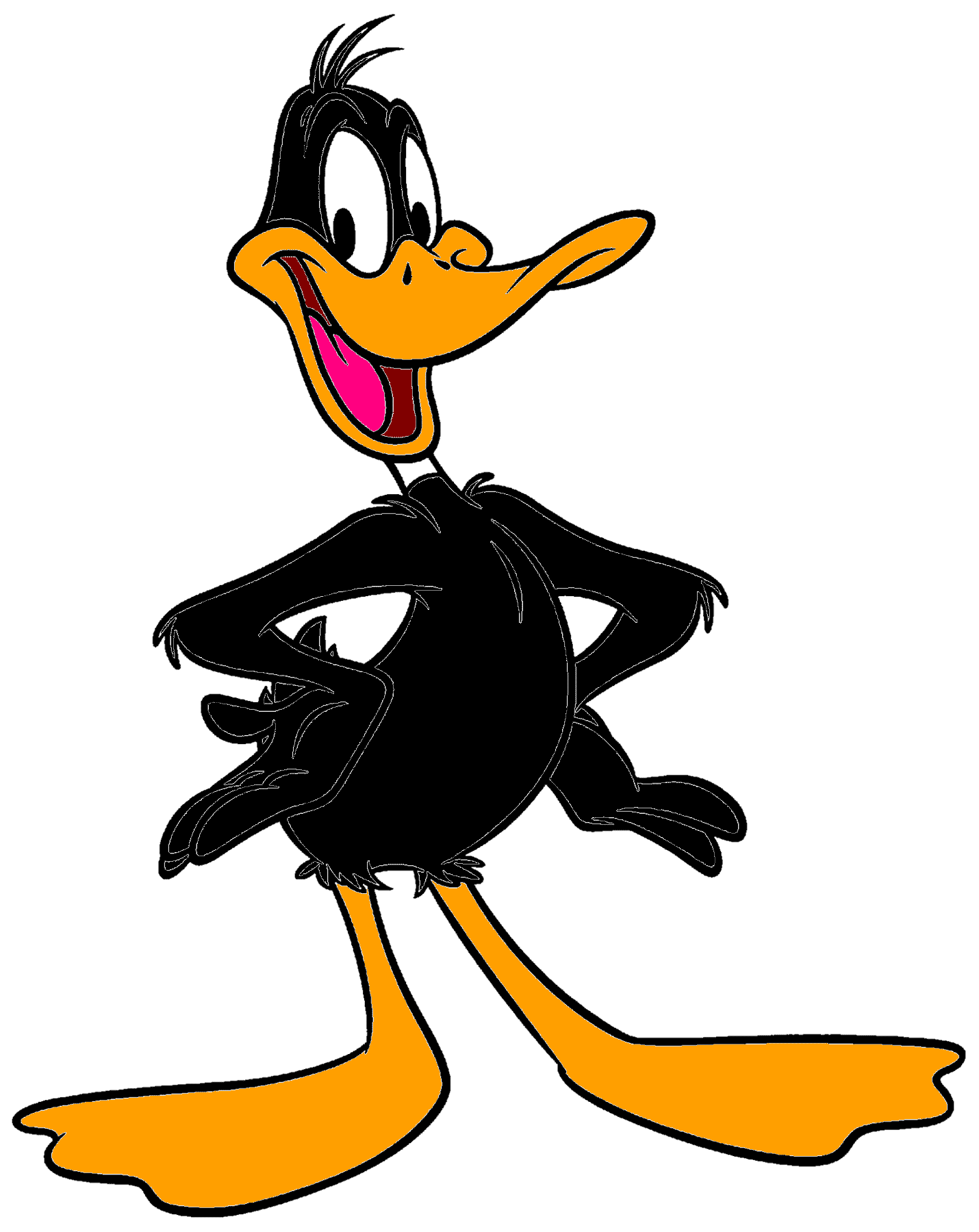 Daffy Duckgallery Looney Tunes Wiki Fandom Powered By Wikia