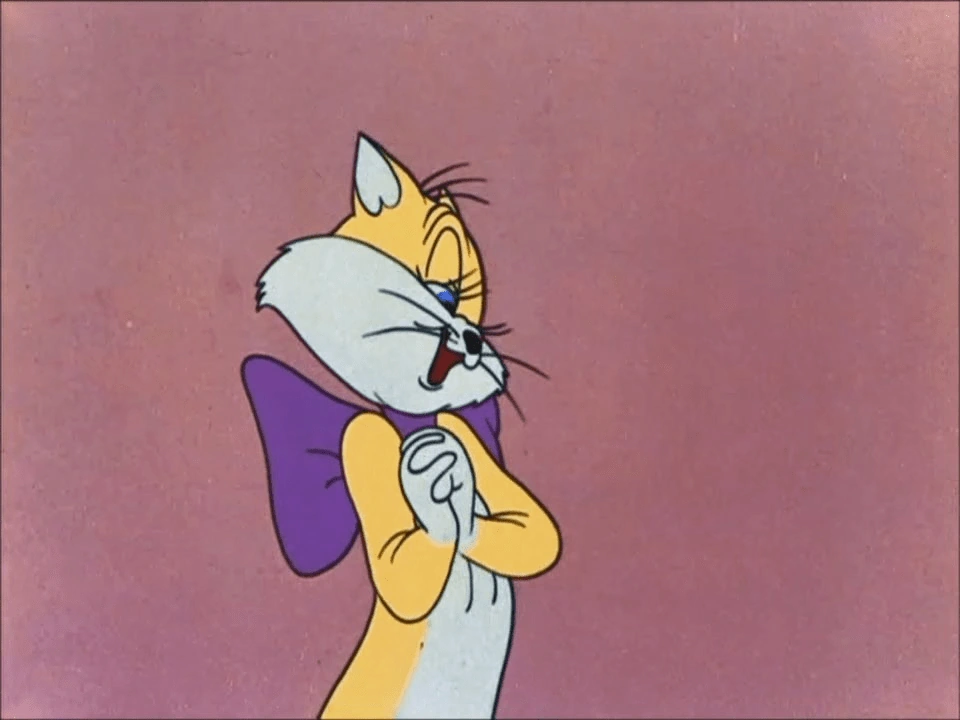 Mrs. Cat | Looney Tunes Wiki | FANDOM powered by Wikia