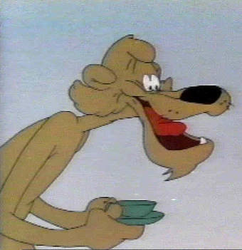 puma history wikipedia