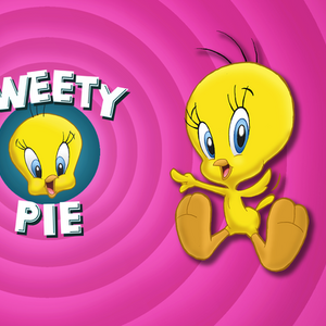 Tweety Gallery Looney Tunes Wiki Fandom