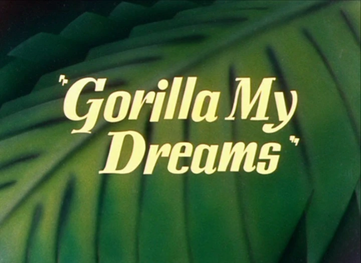 Gorilla My Dreams Looney Tunes Wiki FANDOM powered by Wikia