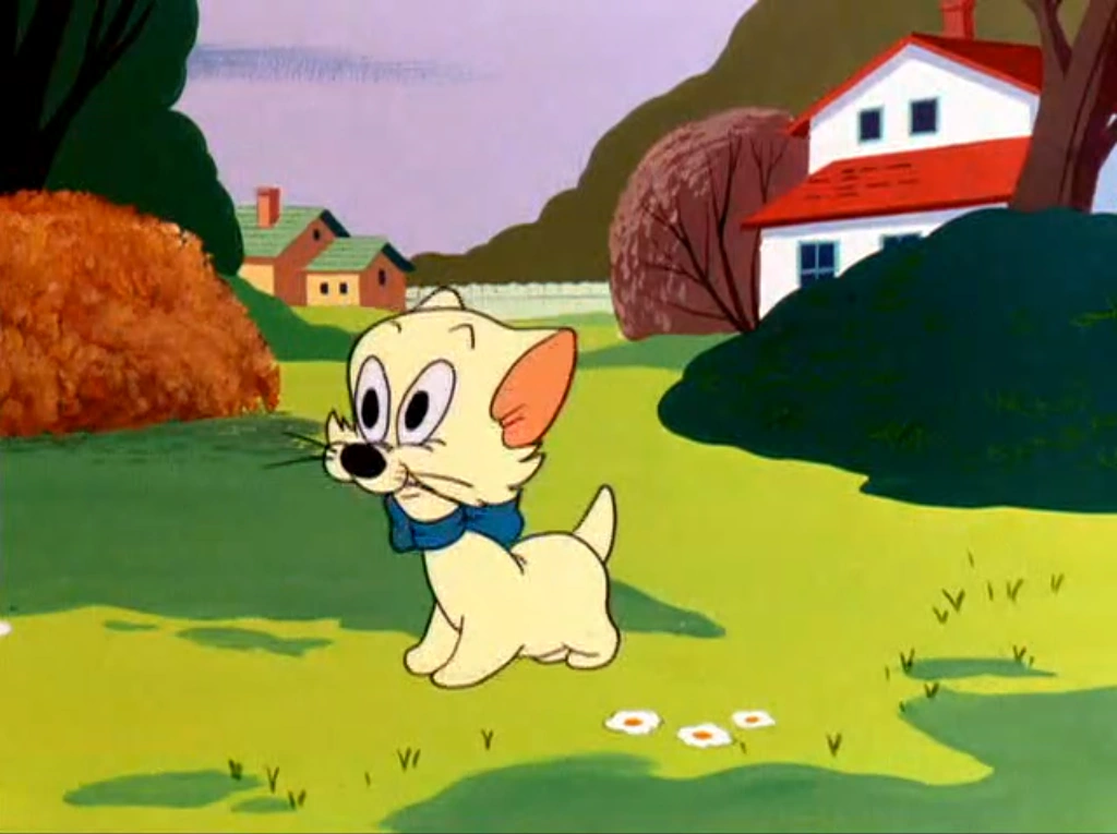 The Kitten | Looney Tunes Wiki | Fandom