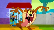 Tasmanian Meltdown | The Looney Tunes Show Wiki | FANDOM powered by Wikia