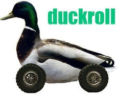 Duckroll