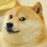 1424533 705205256158581 441799801 n