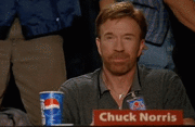 Chuck Norris Approves