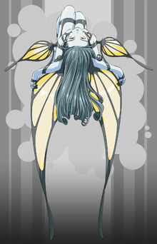 Aerly2