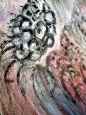 Nebulosas sirpion