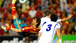 Chilenafabbrini