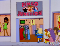 Dingo junction