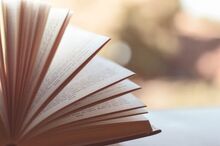 Open flipping book