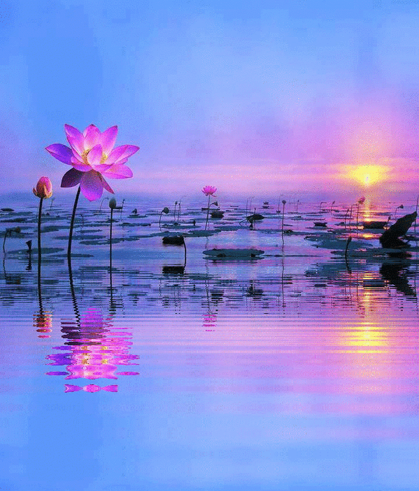 Lake