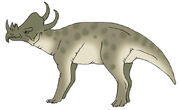 Boar Beast