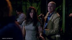 6x14b