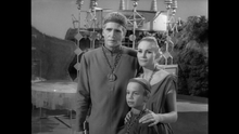 Tauron Family