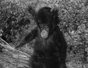 Debbie the Bloop | Lost in Space Wiki | FANDOM powered by Wikia