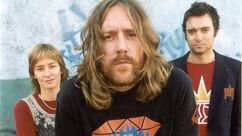 Spiderbait