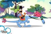 WanderCC2012teaser