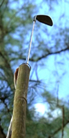 Parafulmine