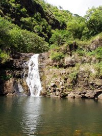 200px-WaimeaValleyAudubonCenter