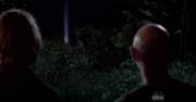 Swanlight