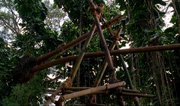 180px-Trebuchet2