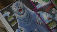 Orso2