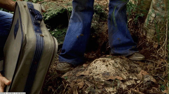 File:1x06-Bees.gif