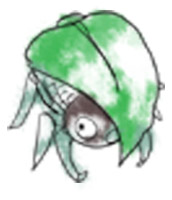 Kage no Mushi