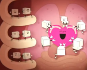 180px-Gumball heart