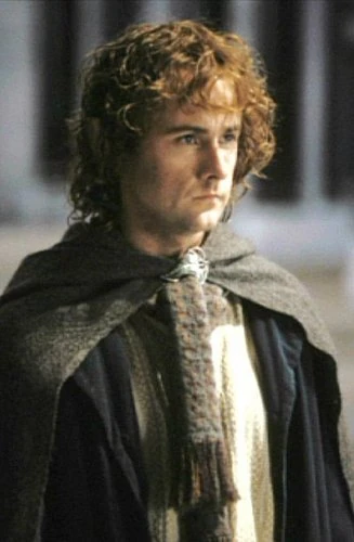 Pippin Took | LOTR Film Trilogy Wiki | Fandom