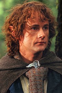 Image result for peregrin