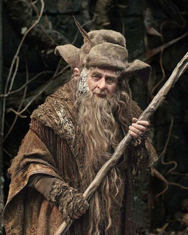 Radagast The One Wiki To Rule Them All Fandom