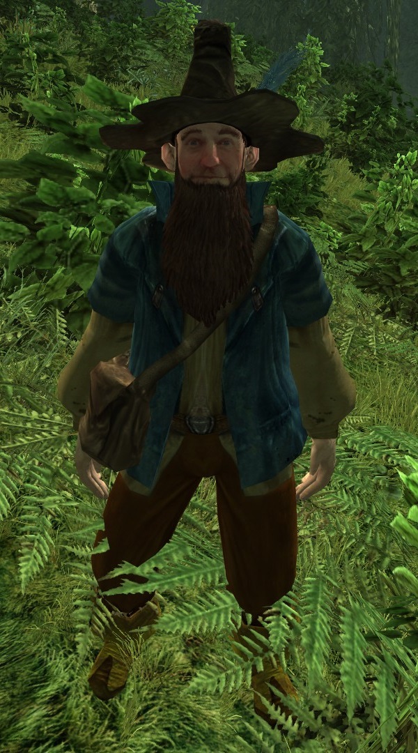 tom bombadil the one wiki to rule them all fandom powered by wikia