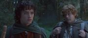 Frodo Sam Wanderung