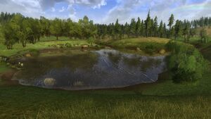 BywaterPoolLOTRO