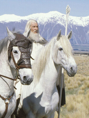 Schattenfell Der Herr Der Ringe Wiki Fandom