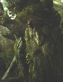 Treebeard