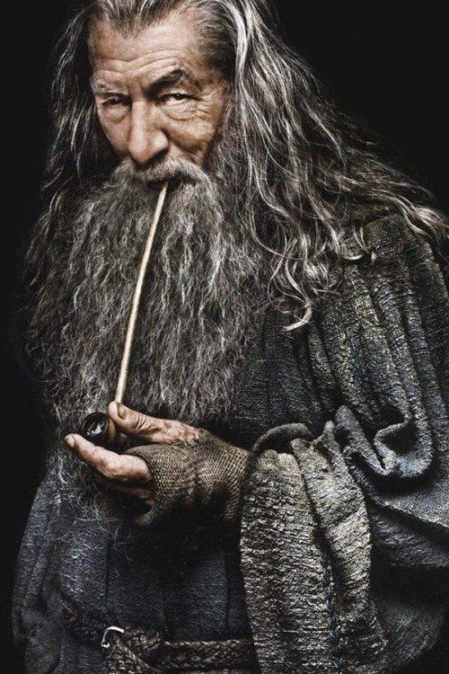 Is The Guy Who Fell From The Sky Gandalf Image - Gandalf the Grey profile.jpg | The One Wiki to Rule Them All