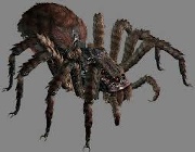 Seanathra
