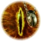 Image - Eye Sauron..png | The One Wiki to Rule Them All | FANDOM