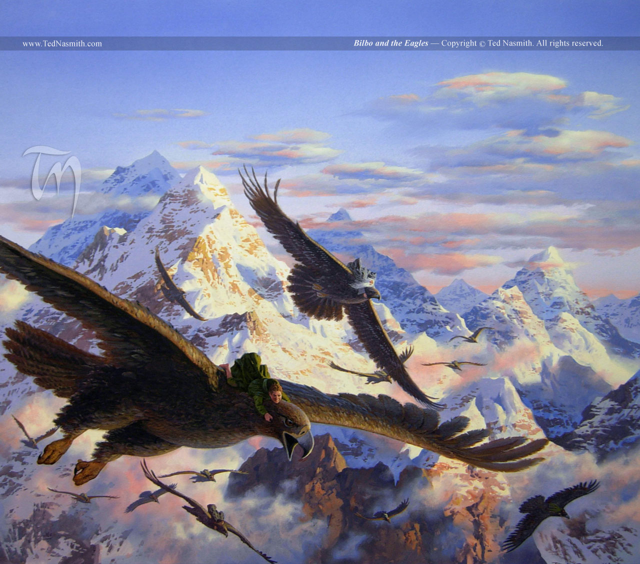 Great Eagles The One Wiki To Rule Them All Fandom